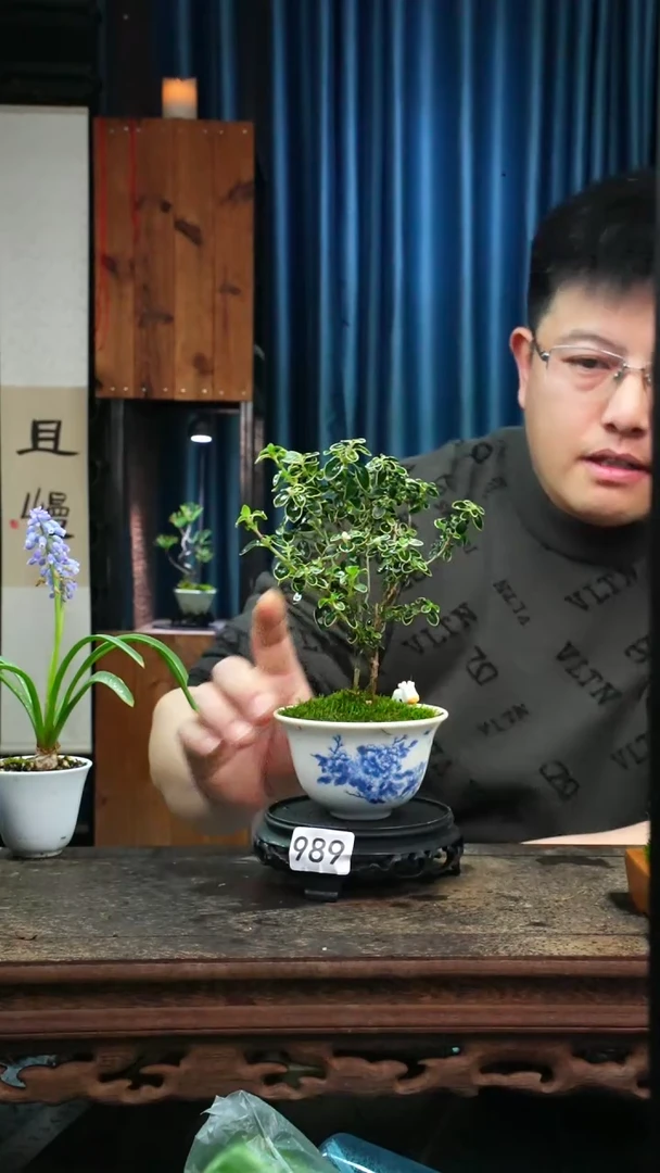 【闪购商品】苔藓微景观989号