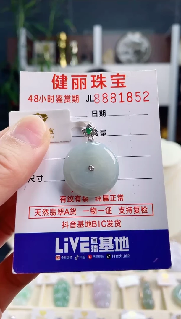 【闪购商品】翡翠颈饰银S925镶嵌天然缅甸翡翠 平安扣(一物一证)