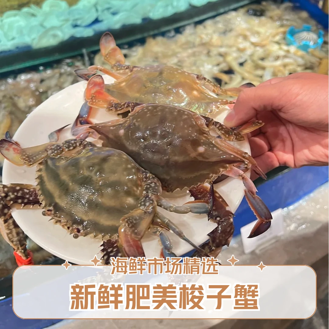 【新鲜梭子蟹】单只2-7两 螃蟹 海蟹 海捕 螃蟹 海鲜 冰鲜发货 刚刚牺牲 海捕少腿正常【保鲜不保活】斤 不包售后