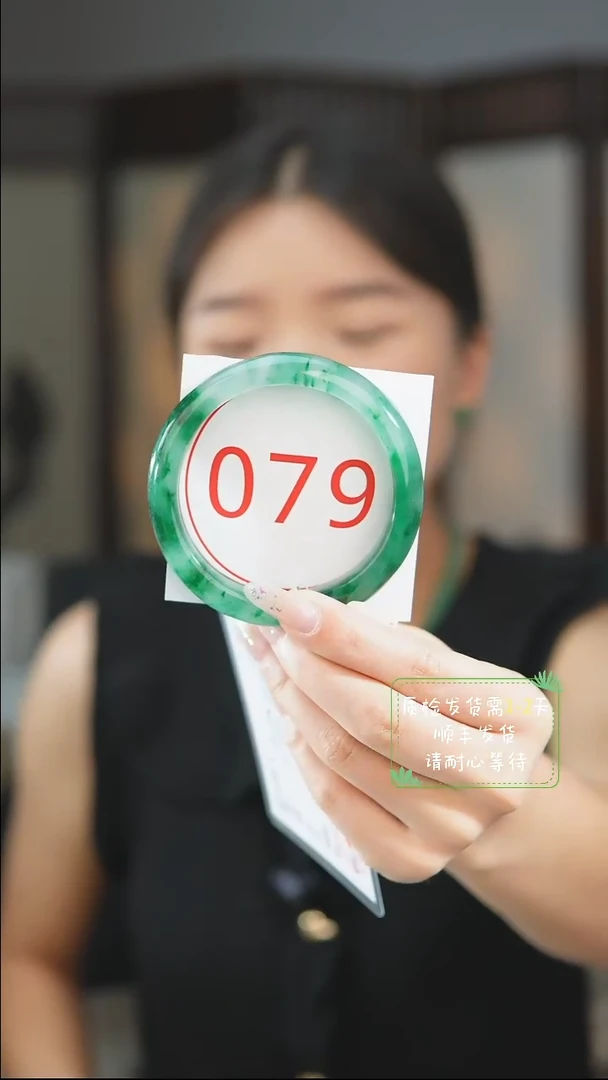 未镶嵌手镯石英质玉（非洲翠）5859