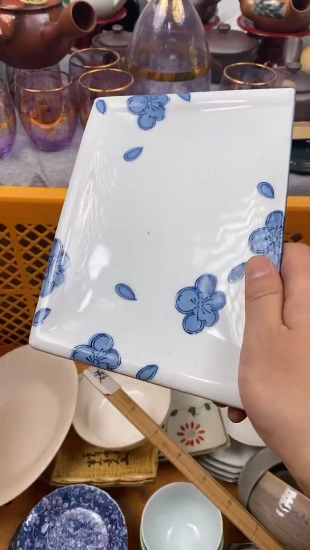 【闪购商品】瓷片405  定向 杨楠 定向 杨楠