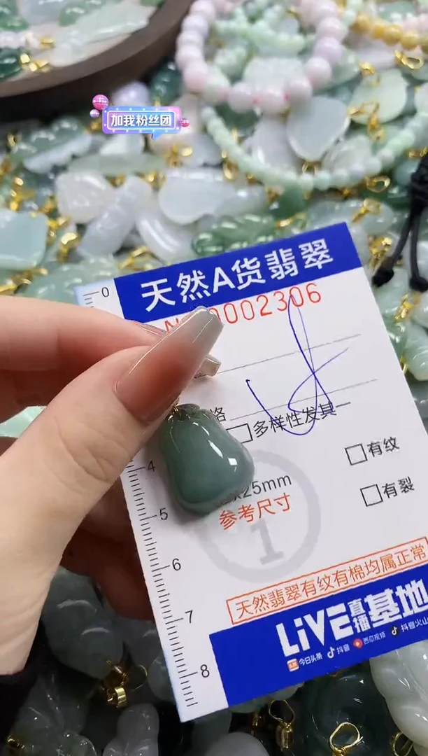 颈饰未镶嵌翡翠天然A货翡翠
