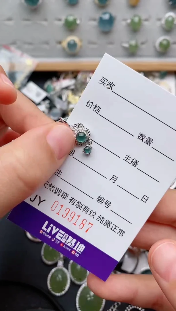 翡翠银S925镶嵌颈饰.