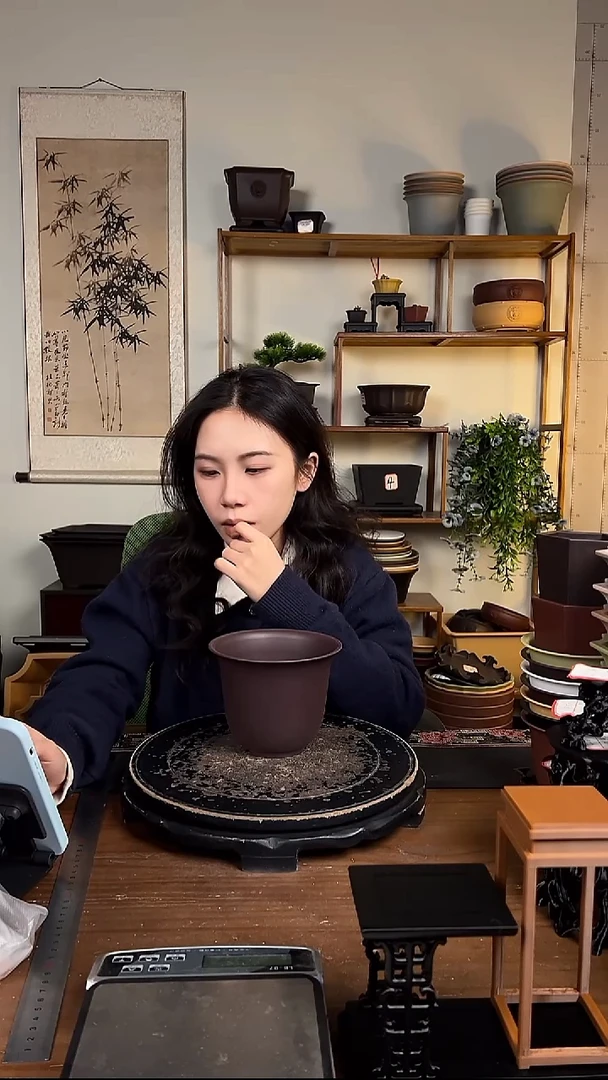 10只15口径金钟紫檀色