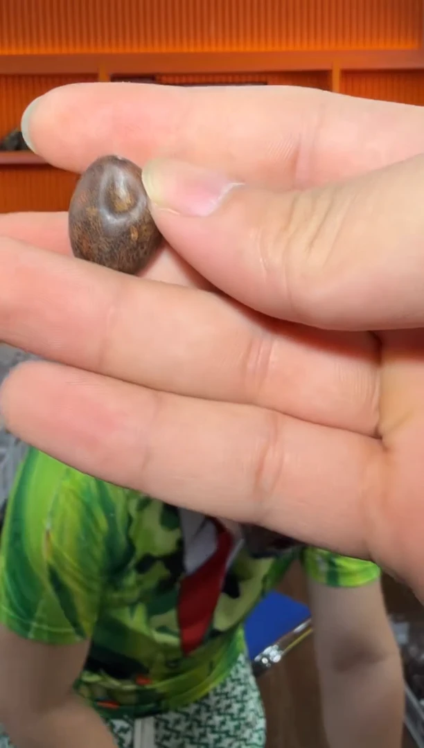 沉香香囊沉香86号多样性发一