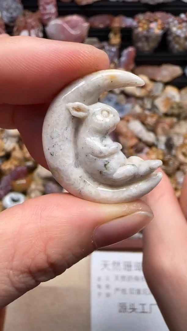 【闪购商品】硅化珊瑚（珊瑚玉）颈饰未镶嵌719