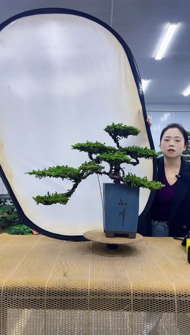 00000000000000000000000000