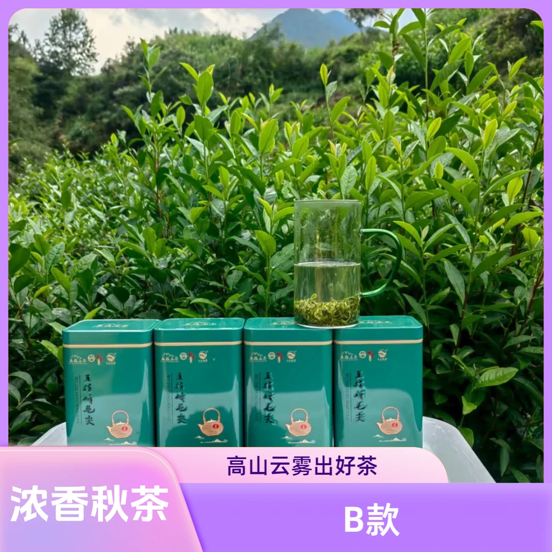 赣南五指峰【秋茶B款】毛尖