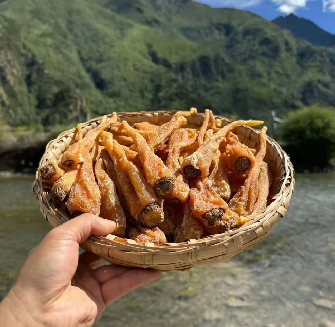 优选农家小妹藏血参500g