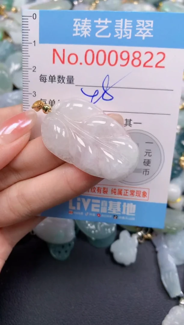 颈饰未镶嵌翡翠9822