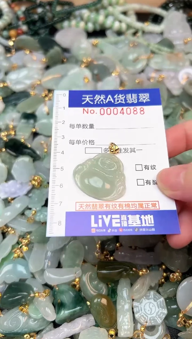 翡翠未镶嵌颈饰夏天时尚百搭闺蜜爆款翡翠天然A货