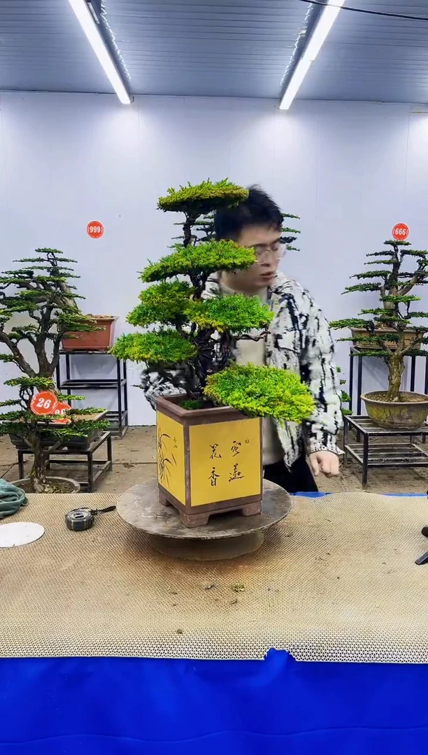 无花朵一物一拍，所见即所得