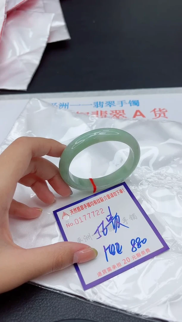未镶嵌手镯翡翠1