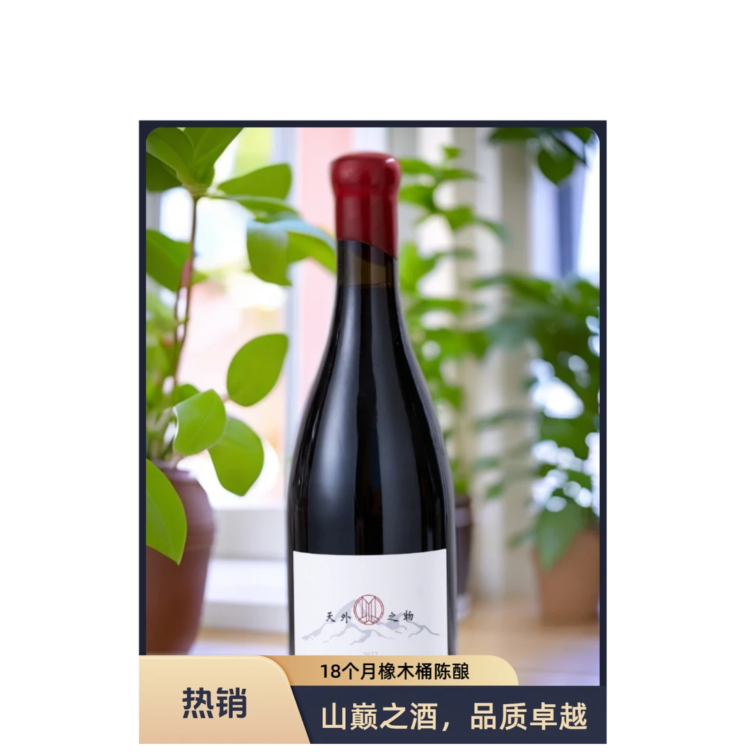以珩宁夏贺兰山东麓天外之物赤霞珠干红葡萄酒【18个月橡木桶陈酿】