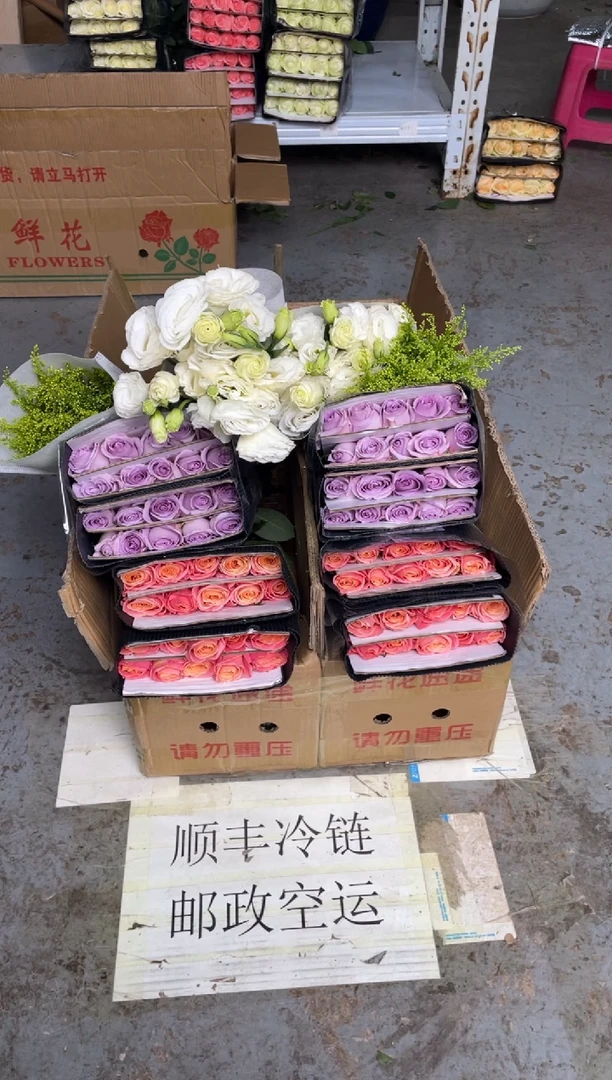 朱小姐20枝+海洋之歌20枝+ 白桔梗400克+黄莺