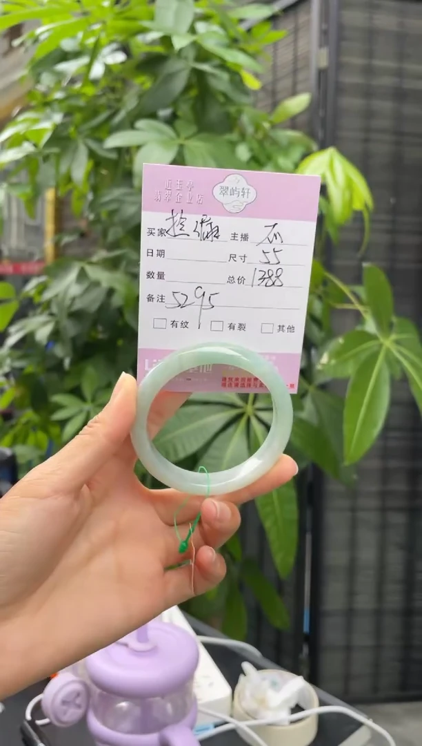 未镶嵌手镯翡翠G 55正圈 5295