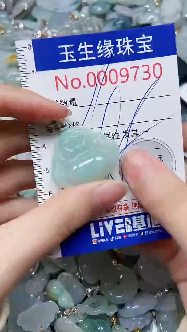 【闪购商品】翡翠颈饰未镶嵌闪购00009730