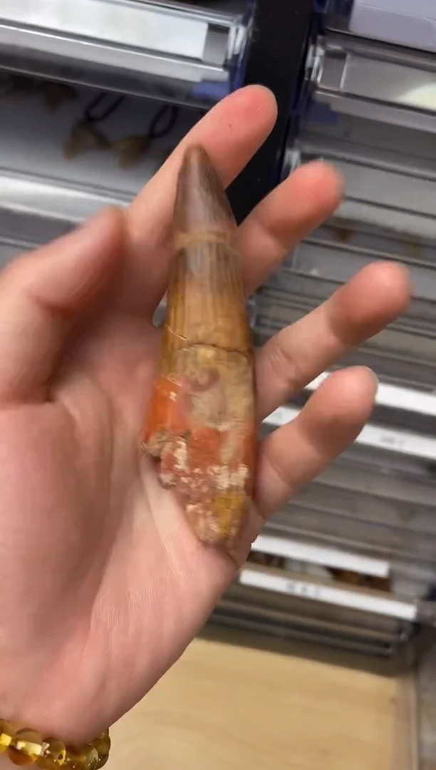 精美摆件创意礼物家居配饰新年礼物个人收藏