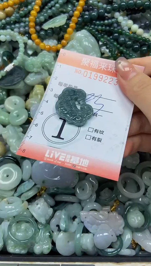 翡翠未镶嵌颈饰闪购0199223