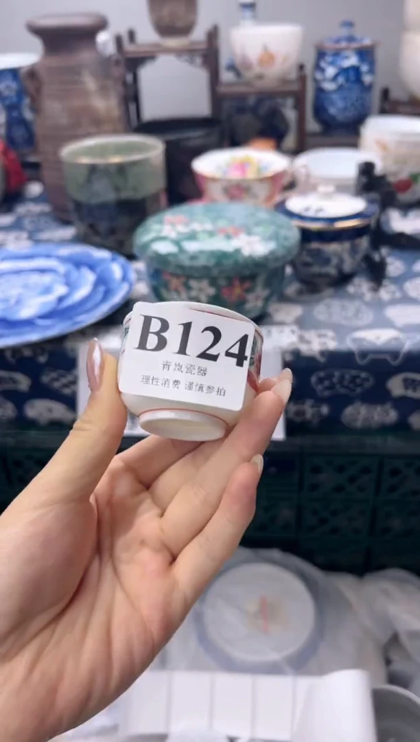 瓷片S****L    B124