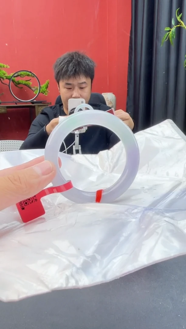 未镶嵌手镯翡翠2