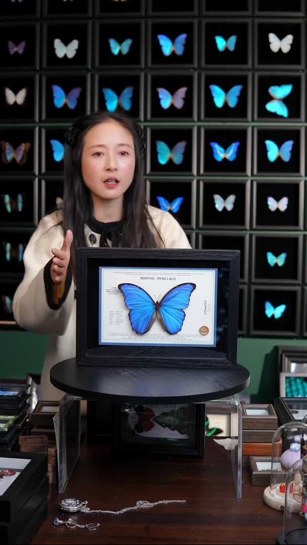 大蓝闪蝶新版本A4横版（带证书）