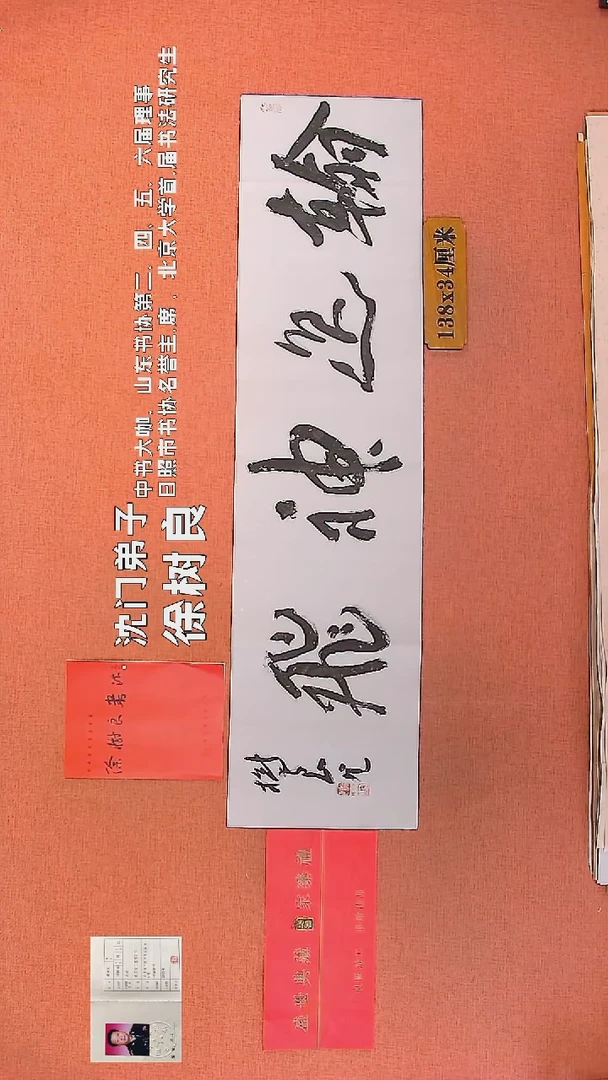 【闪购商品】书法31        徐树良书法作品