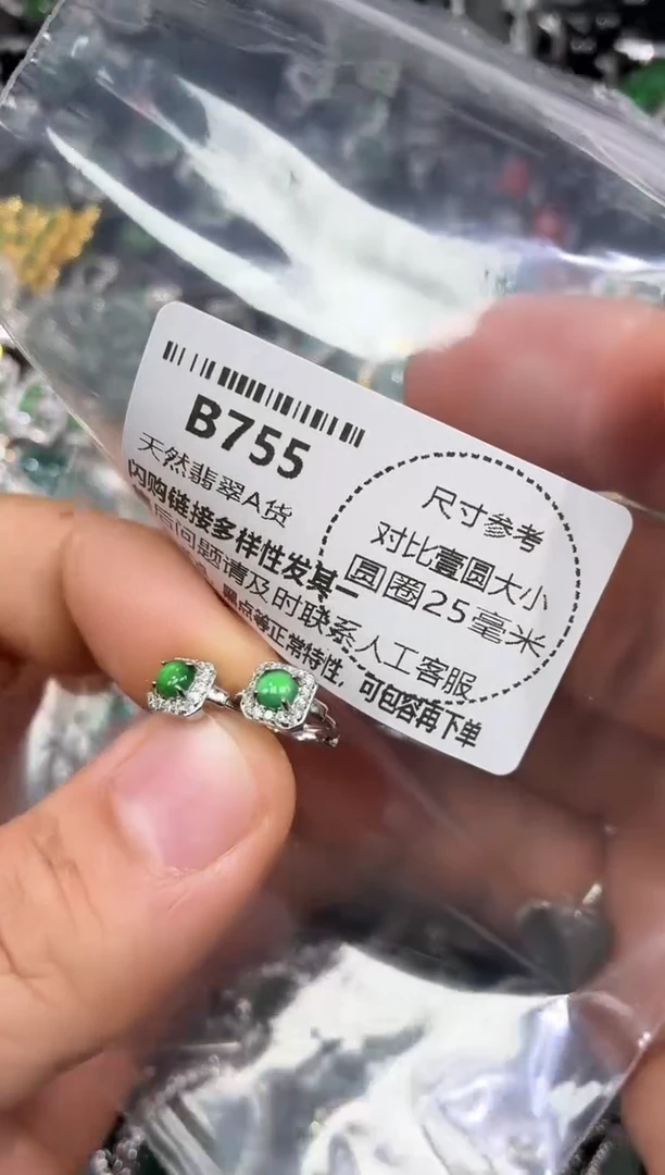 颈饰未镶嵌翡翠B755耳扣