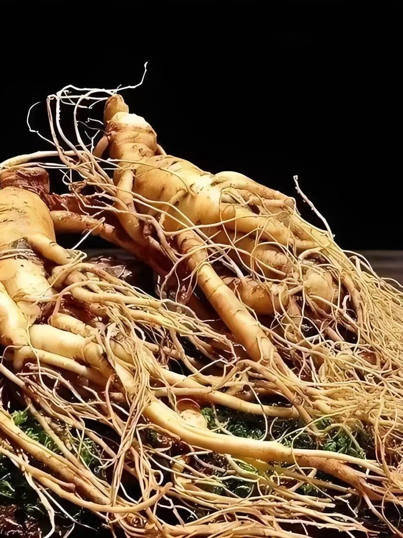 6号链接泡酒大参（单支90-130g)