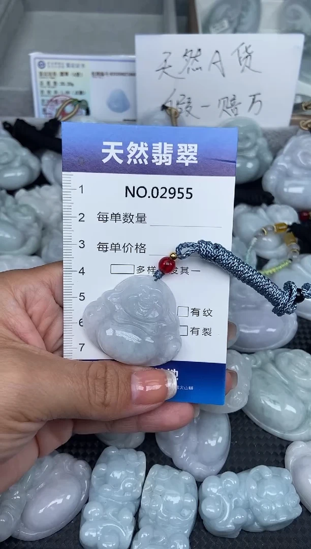 颈饰未镶嵌翡翠纯天然A货翡翠2955