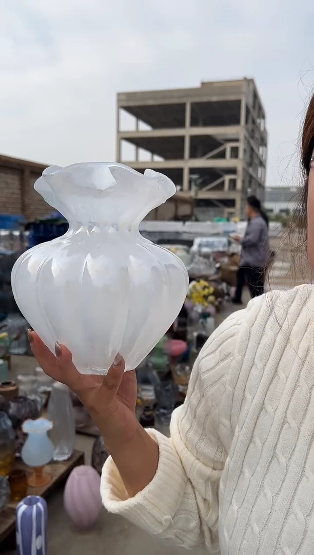 花瓶客厅餐桌插花装饰好物小