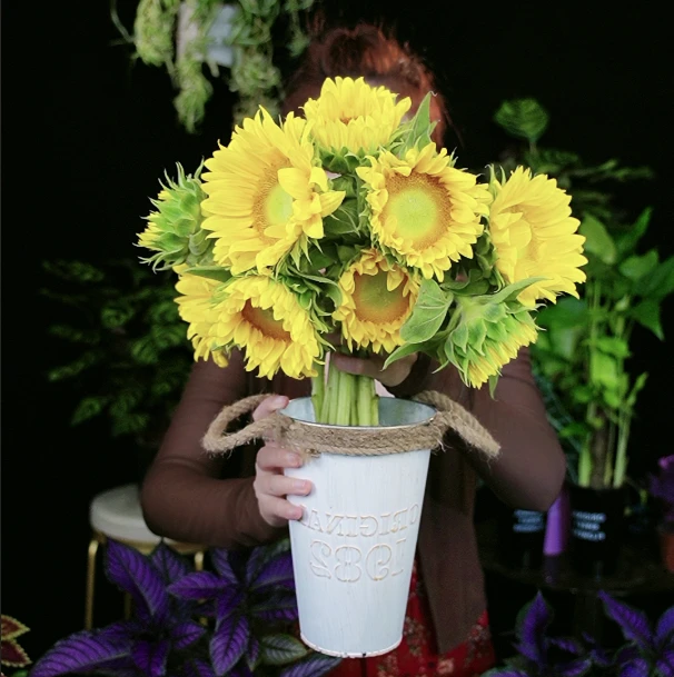 鲜切花奶油向日葵文森特[买五送五到手十支]可做干花带花桶福利