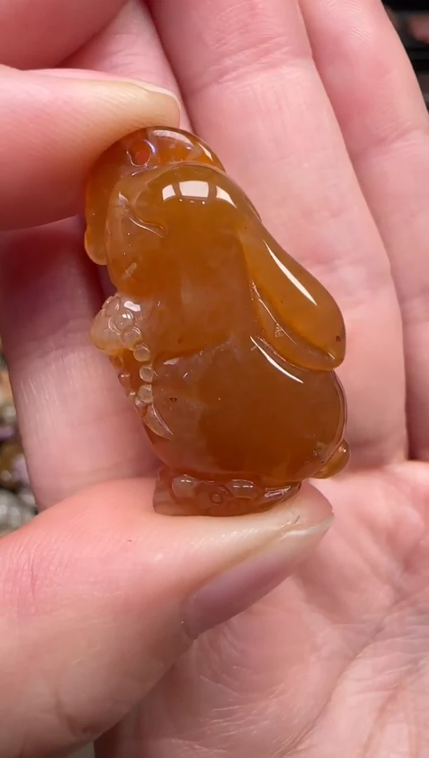 颈饰未镶嵌硅化珊瑚（珊瑚玉）676