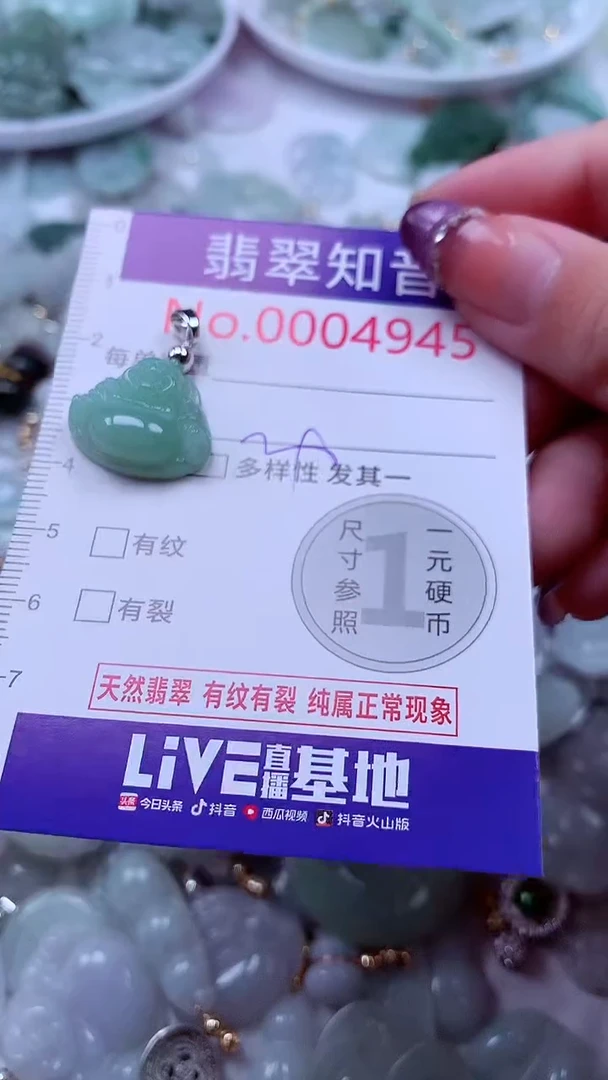 翡翠未镶嵌吊坠(不含链)4945