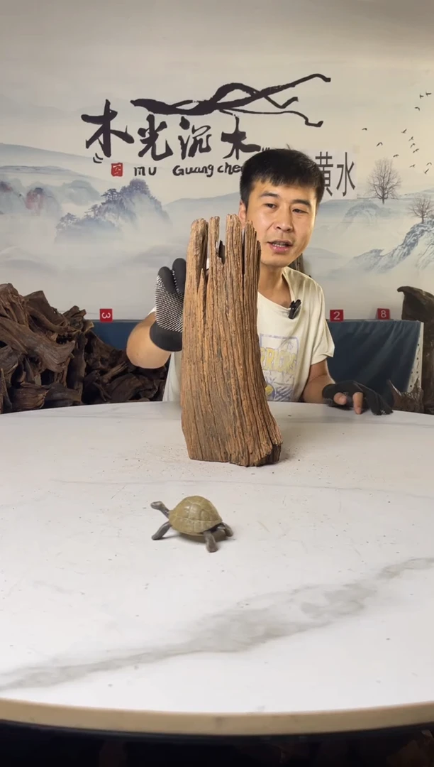 a278木光沉木木光沉木278