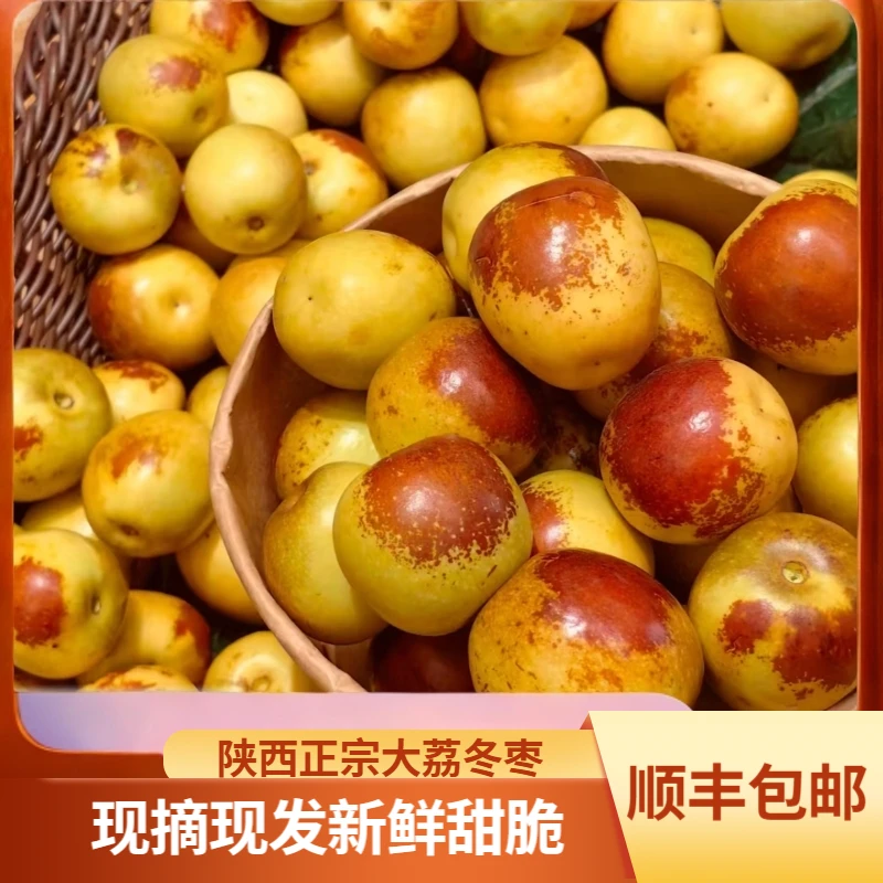 【现摘现发】陕西正宗大荔冬枣2-5斤新鲜甜脆现摘果园直发应季水果