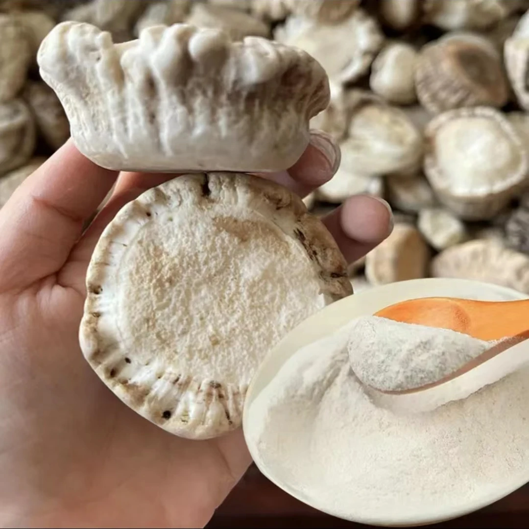 吉林鹿乡【鹿角帽粉】又称鹿托盘 梅花鹿 冲水 煎鸡蛋食用