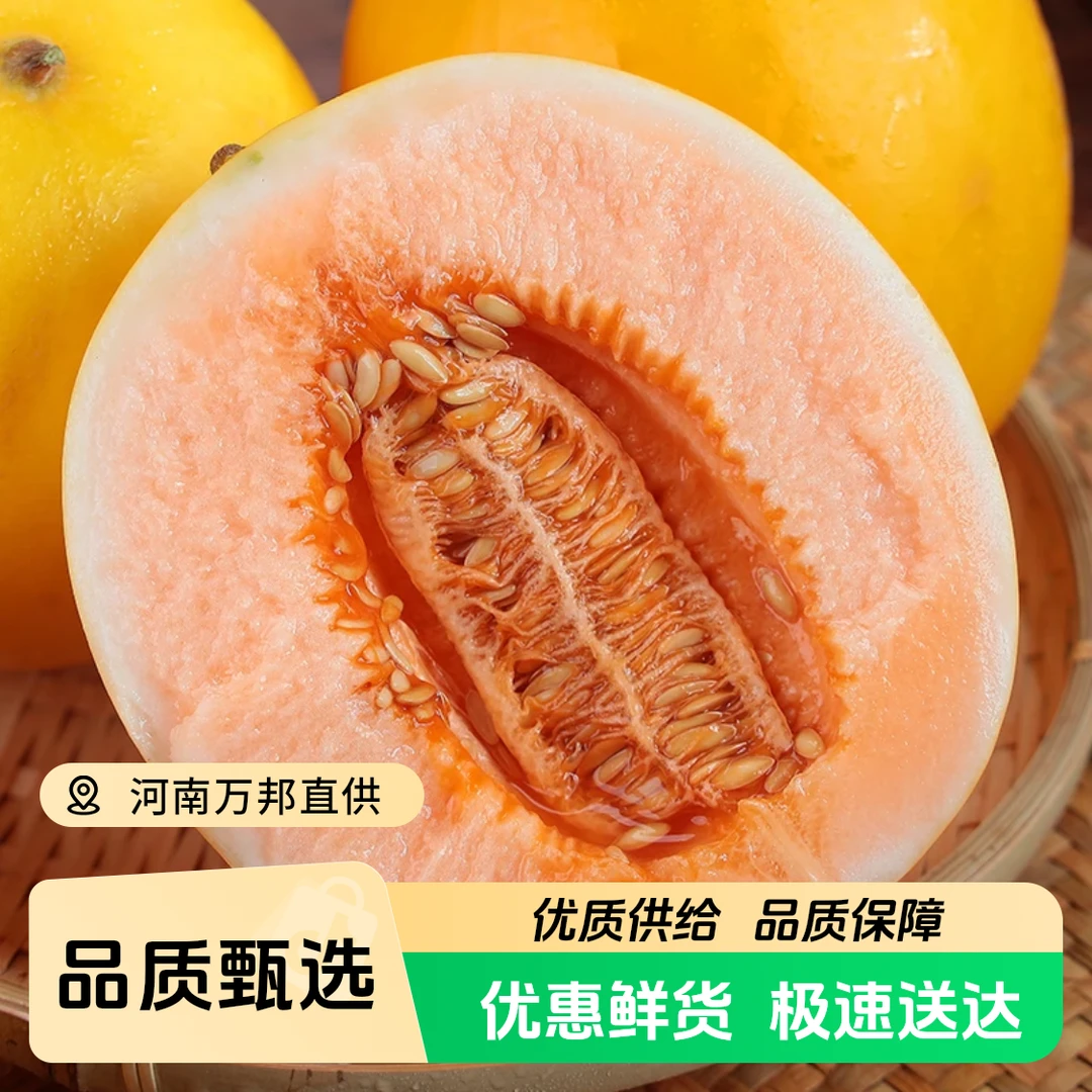 【顺丰次日达】甘肃民勤沙漠蜜瓜7-8斤装金红宝甜瓜新鲜水果甘肃省