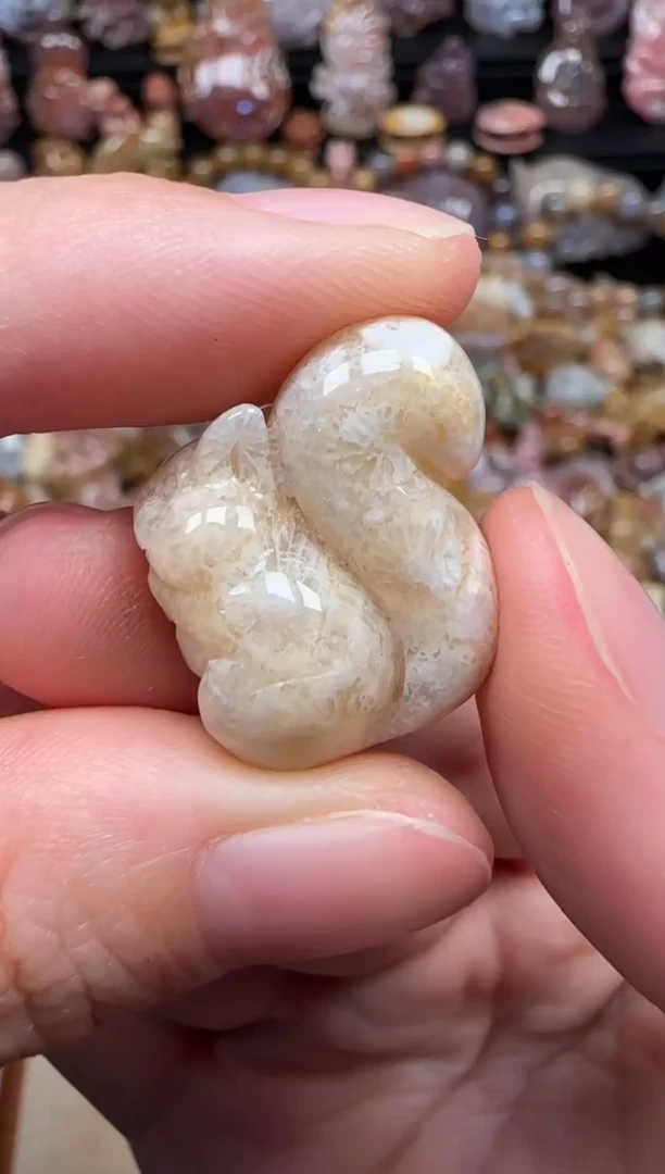 颈饰未镶嵌硅化珊瑚（珊瑚玉）534