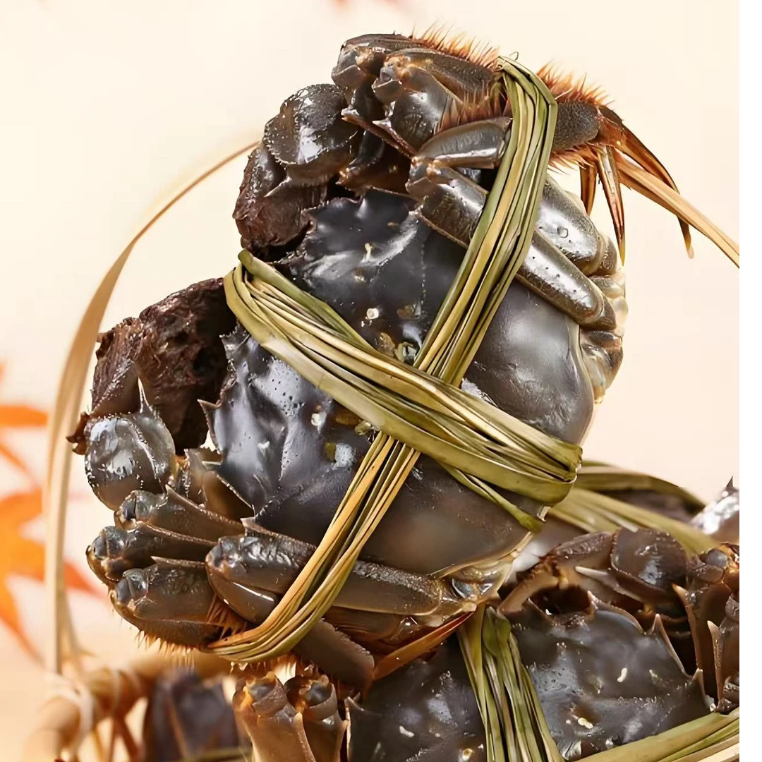 【活蟹】22苏州大闸蟹 5.0-4.7两公3只 4.0-3.7两母3只 送两只共8只