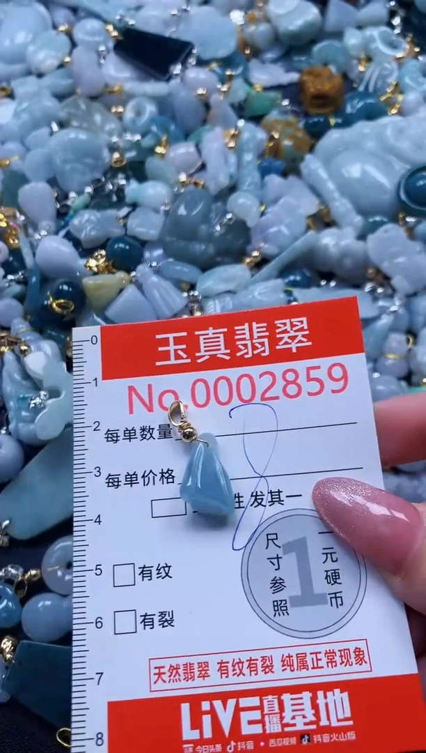 翡翠未镶嵌吊坠(不含链)2859