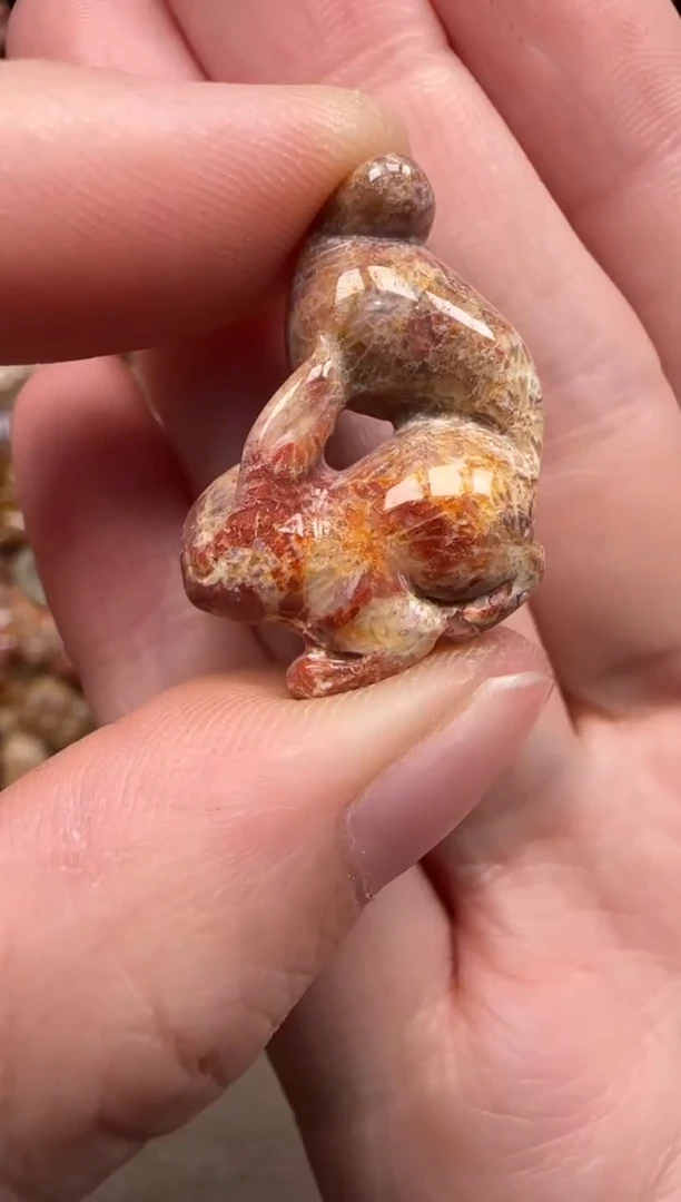 硅化珊瑚（珊瑚玉）未镶嵌颈饰310