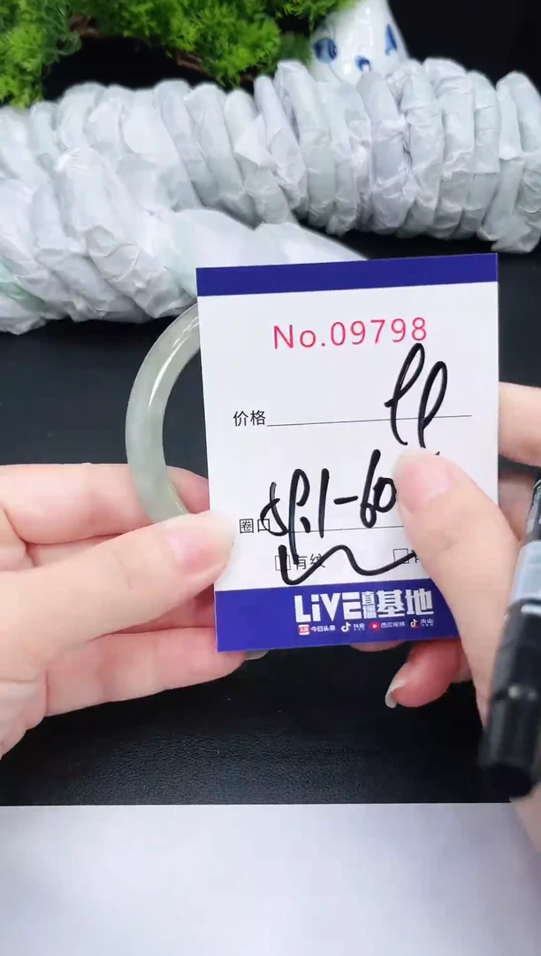 未镶嵌手镯翡翠9798