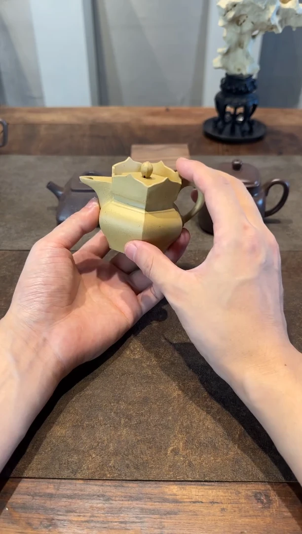 茶壶紫砂纲*本绿小僧帽