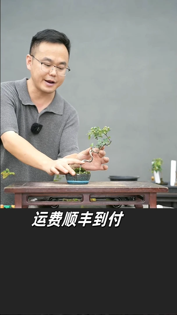 大****兵11