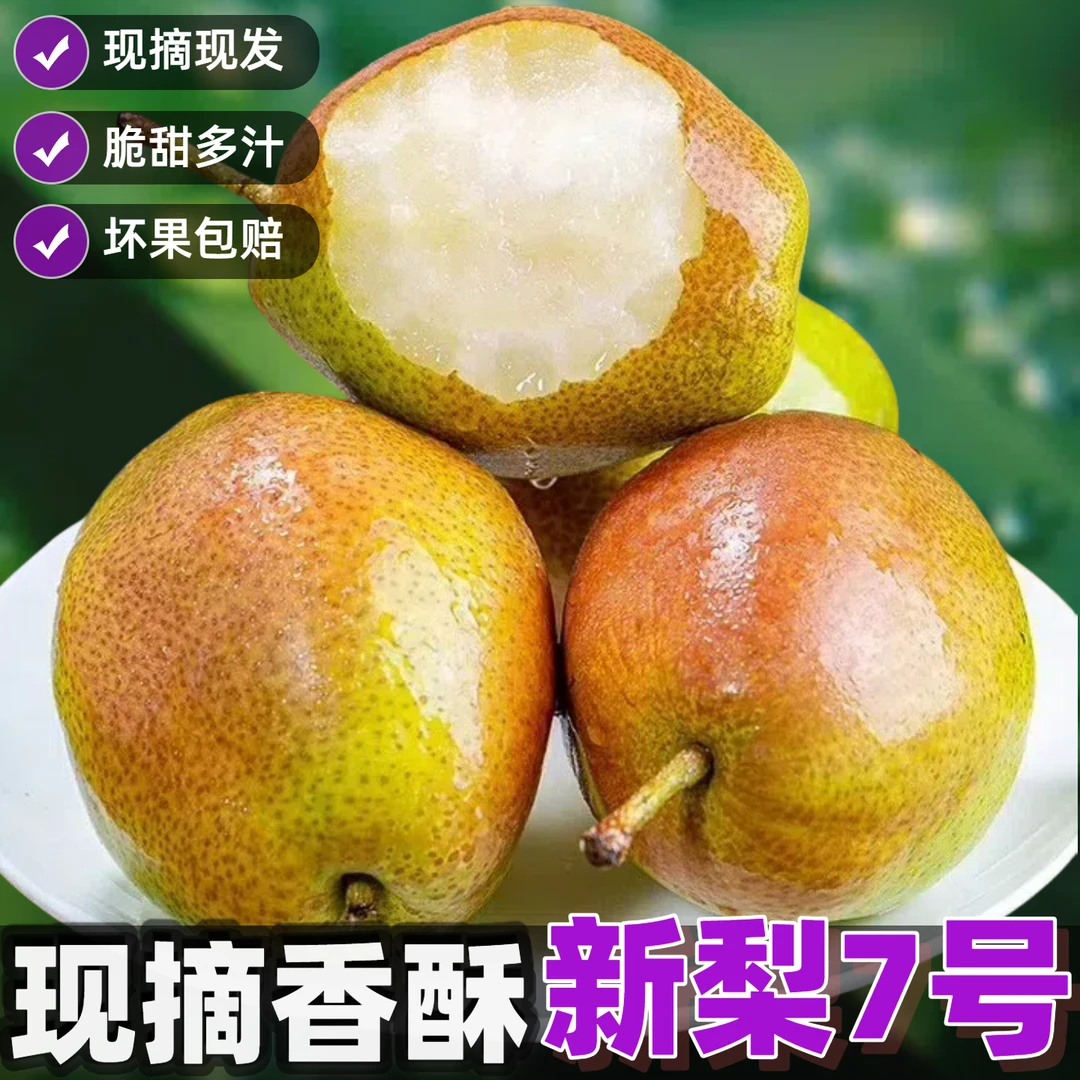 【果园现摘】5斤新梨7号酥脆多汁红香酥梨子当季新鲜水果库尔勒香梨