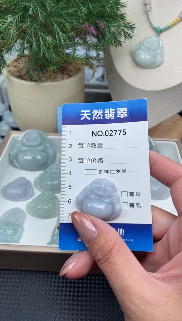 颈饰未镶嵌翡翠纯天然A货翡翠2775