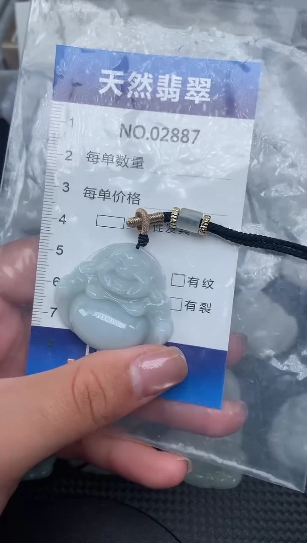 颈饰未镶嵌翡翠纯天然A货翡翠2887