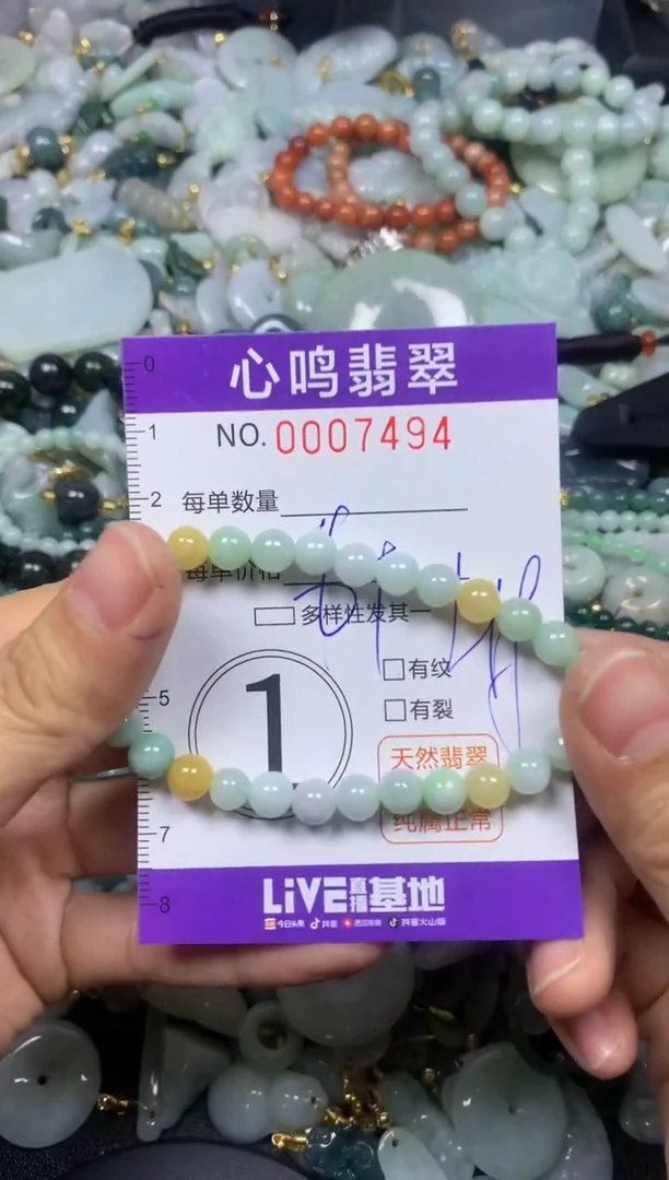 【闪购商品】翡翠颈饰未镶嵌闪购007494