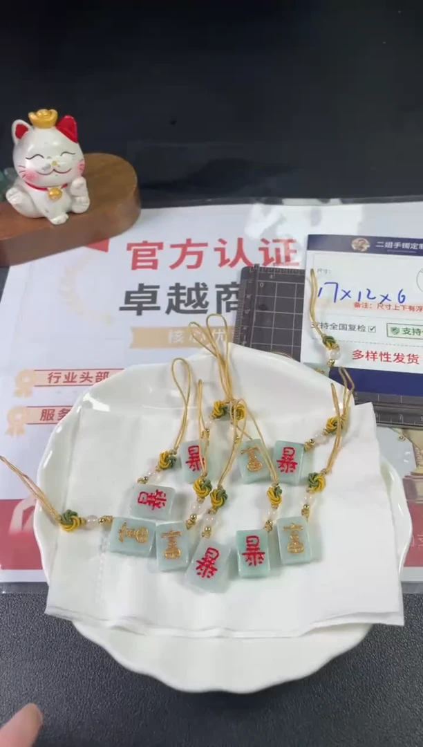 【闪购商品】翡翠挂件未镶嵌暴富/多样性发其一配绳@CP